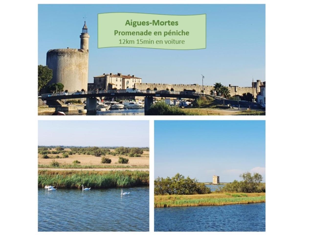 T2 West City Parking Clim Wifi 4Pers - Rossiconciergerie - Linge Inclus La Grande-Motte Exterior foto