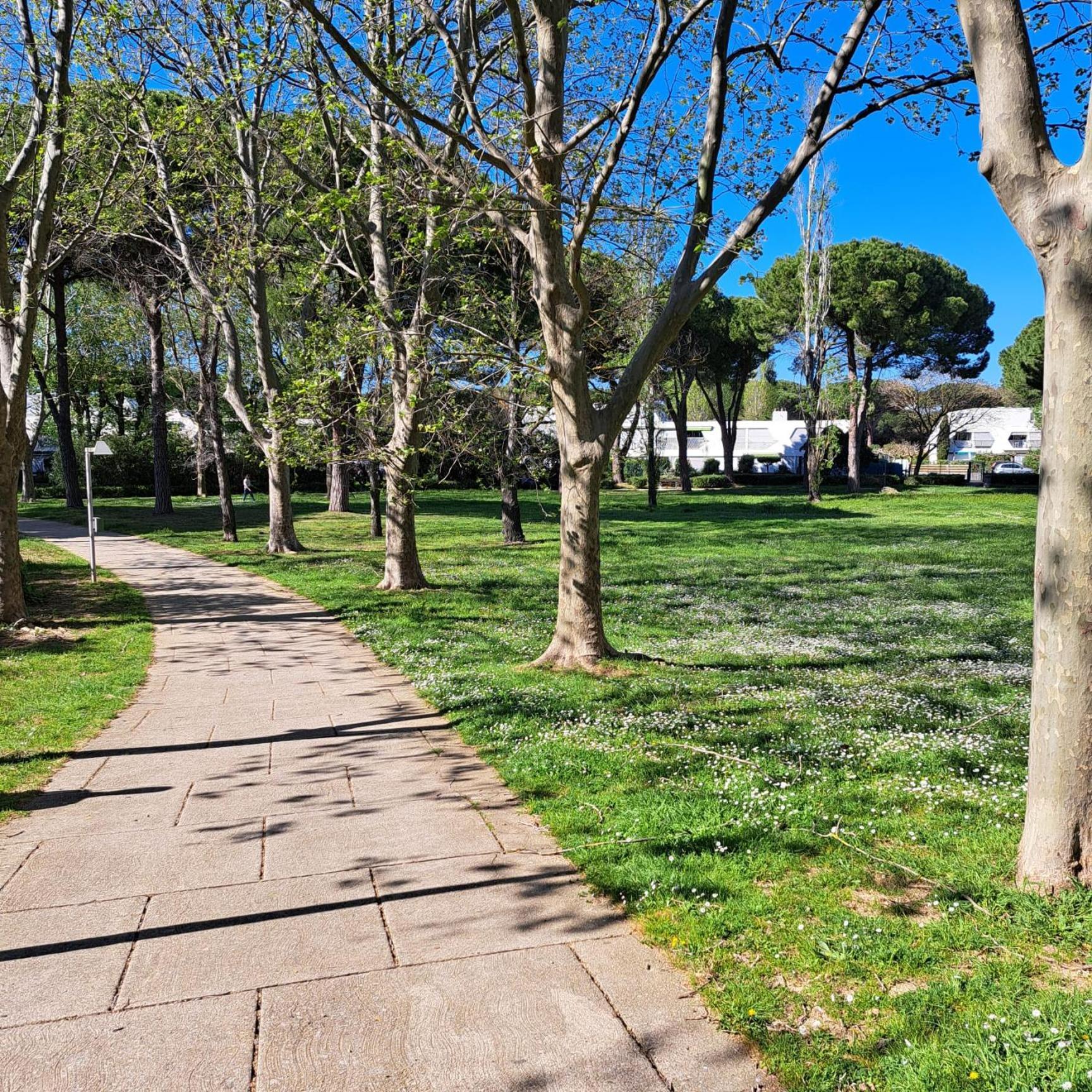 T2 West City Parking Clim Wifi 4Pers - Rossiconciergerie - Linge Inclus La Grande-Motte Exterior foto